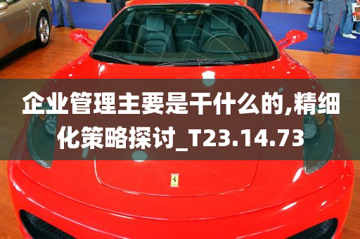 企业管理主要是干什么的,精细化策略探讨_T23.14.73