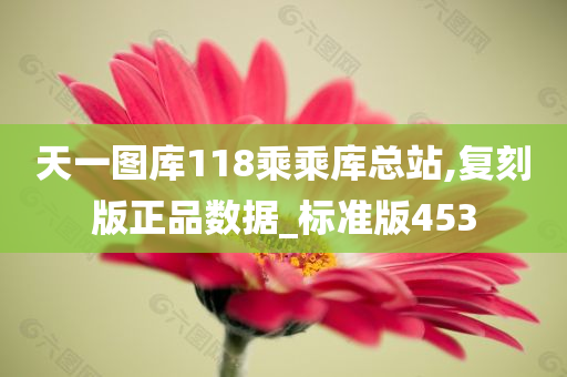 天一图库118乘乘库总站,复刻版正品数据_标准版453