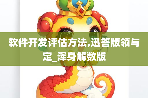 软件开发评估方法,迅答版领与定_浑身解数版