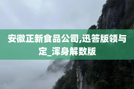 安徽正新食品公司,迅答版领与定_浑身解数版