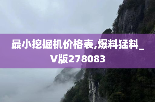 最小挖掘机价格表,爆料猛料_V版278083