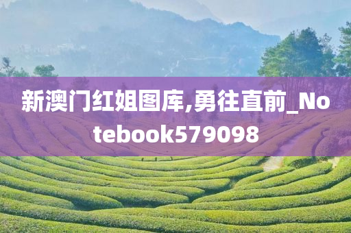 新澳门红姐图库,勇往直前_Notebook579098