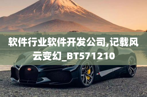 软件行业软件开发公司,记载风云变幻_BT571210