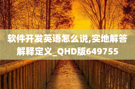 软件开发英语怎么说,实地解答解释定义_QHD版649755