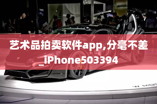 艺术品拍卖软件app,分毫不差_iPhone503394