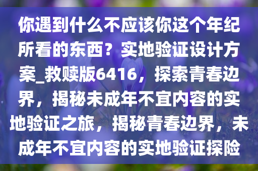 你遇到什么不应该你这个年纪所看的东西？实地验证设计方案_救赎版6416，探索青春边界，揭秘未成年不宜内容的实地验证之旅，揭秘青春边界，未成年不宜内容的实地验证探险