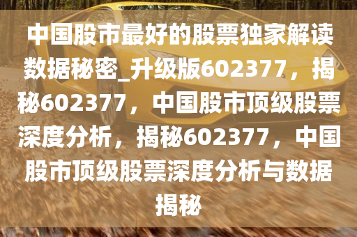 中国股市最好的股票独家解读数据秘密_升级版602377，揭秘602377，中国股市顶级股票深度分析，揭秘602377，中国股市顶级股票深度分析与数据揭秘