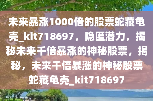 未来暴涨1000倍的股票蛇藏龟壳_kit718697，隐匿潜力，揭秘未来千倍暴涨的神秘股票，揭秘，未来千倍暴涨的神秘股票蛇藏龟壳_kit718697