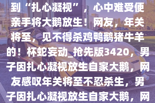 近日，一男子卖自家大鹅时遭到“扎心凝视”，心中难受便亲手将大鹅放生！网友，年关将至，见不得杀鸡鸭鹅猪牛羊的！杯蛇妄动_抢先版3420，男子因扎心凝视放生自家大鹅，网友感叹年关将至不忍杀生，男子因扎心凝视放生自家大鹅，网友感叹年关将至不忍杀生