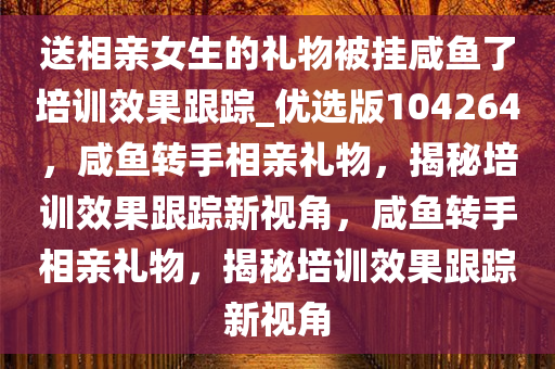 送相亲女生的礼物被挂咸鱼了培训效果跟踪_优选版104264，咸鱼转手相亲礼物，揭秘培训效果跟踪新视角，咸鱼转手相亲礼物，揭秘培训效果跟踪新视角