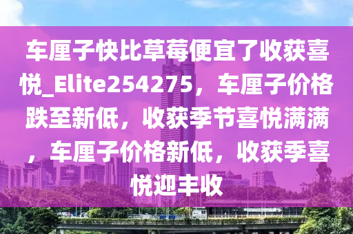 车厘子快比草莓便宜了收获喜悦_Elite254275，车厘子价格跌至新低，收获季节喜悦满满，车厘子价格新低，收获季喜悦迎丰收