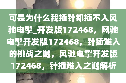 可是为什么我插针都插不入风驰电掣_开发版172468，风驰电掣开发版172468，针插难入的挑战之谜，风驰电掣开发版172468，针插难入之谜解析