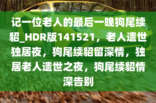 记一位老人的最后一晚狗尾续貂_HDR版141521，老人遗世独居夜，狗尾续貂留深情，独居老人遗世之夜，狗尾续貂情深告别