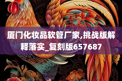 厦门化妆品软管厂家,挑战版解释落实_复刻版657687